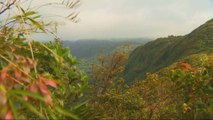 Costa Rica: Cloud forests threatened by climate change