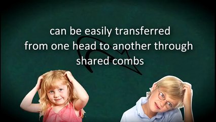 How to Remove Head Lice Eggs