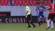 Carton Rouge Directe pour N'Dong contre Mehdi Mostefa en Ligue 1 (20.8.2016)