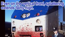 The Nice Truck Attack Was COMPLETELY FAKE - Spotless Truck, Fake Bodies, Fake Terror