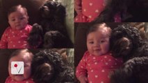 Dog Dies Saving 8-Month-Old Baby in House Fire