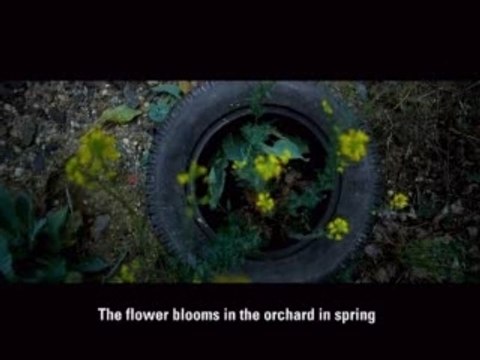 Publicité environnement Greenpeace