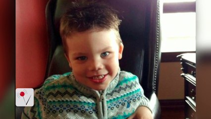 i am seeing only what is terrest give us for which still blood shade many killed why