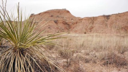 Gyp Hills Scenic Drive