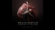 Brave Enough - Lindsey Stirling FT. Christina Perri ★New Album★ - Brave Enough 2016