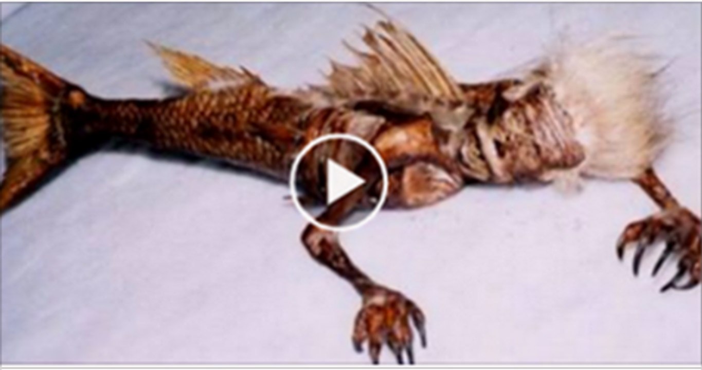 Fascinating-mermaid-washes-up-in-Somali-shore