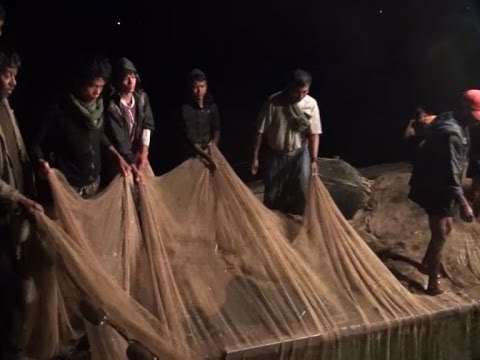 Action needed over fish stock decline