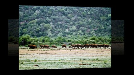 Wildberry Expeditions Slide Show