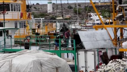 Karadenizli Balıkçı "Palamut"Tan Umutlu