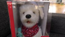 DOG Challenge - Zumi vs Georgie The Interactive Toy Dog (12 Commands) DCTC Pet Videos