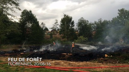 Florennes: le feu de sapins dégénère