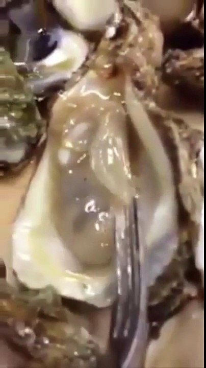 Voici pourquoi il vaut mieux y regarder à deux fois avant de manger des huîtres !