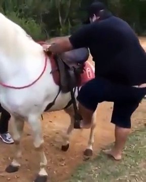 Un homme en surpoids se fait éjecter d'un cheval qui ne le supportait pas