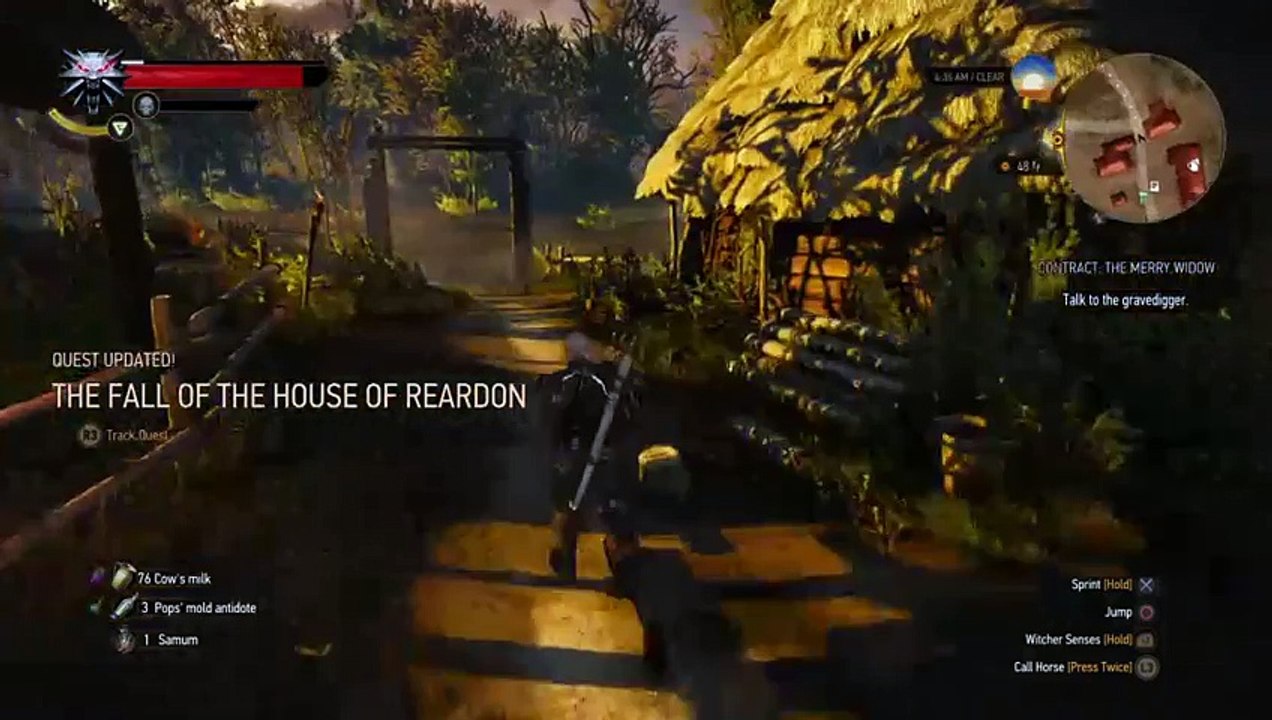 Witcher 3 (8)