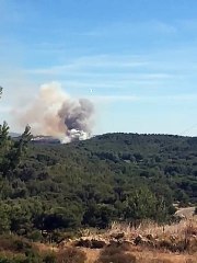 Départ de feu entre Saint-Mitre-les Remparts et Martigues
