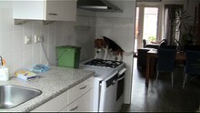 home alone