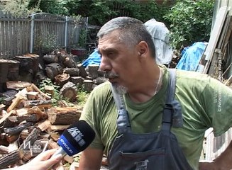 Info 7, 21. avgust 2016. (RTV Bor)