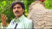 Dhola Ve | Malik Raiz Jani | Saraiki Songs | New Songs 2015 | Thar Production