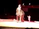 famous circus  stunt