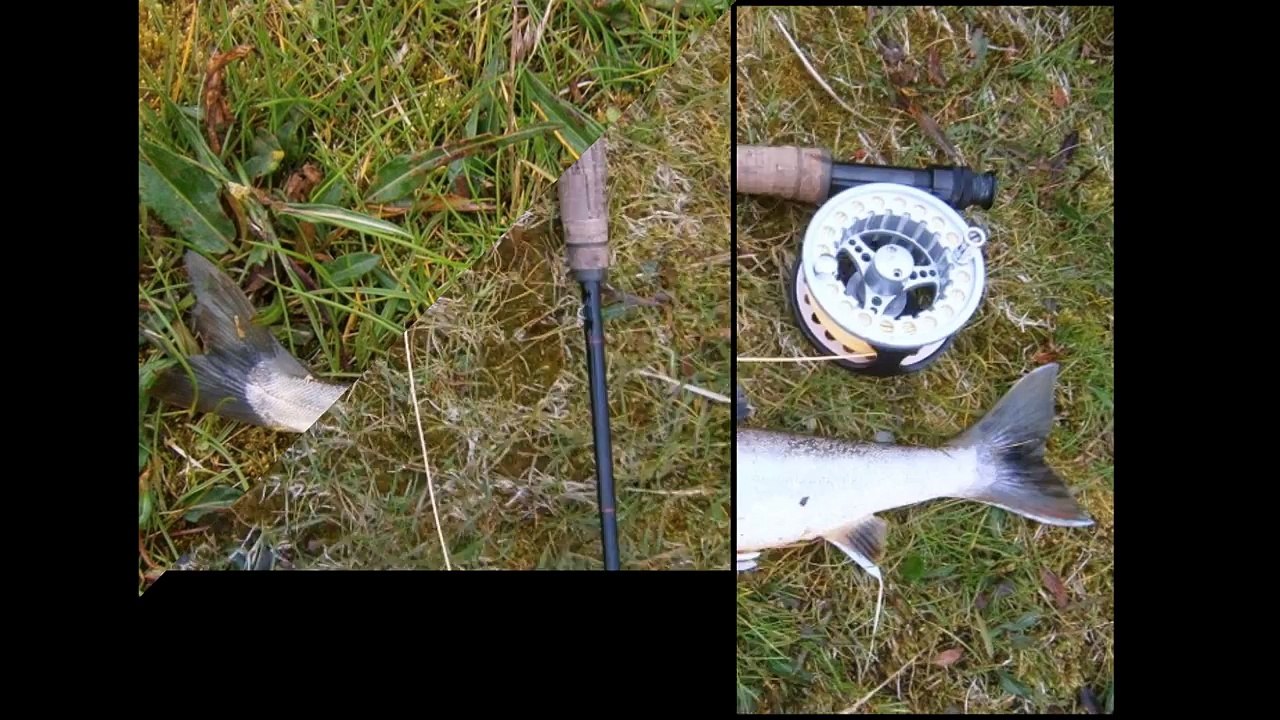 Fliegenfischen auf Seesaiblinge in Nationalpark Thingvellir Island Lake Thingvallavatn