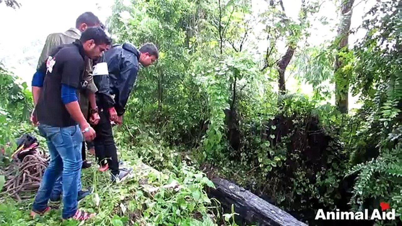 Un chien tombe dans un puits. Attendez de voir sa réaction en voyant les sauveteurs!