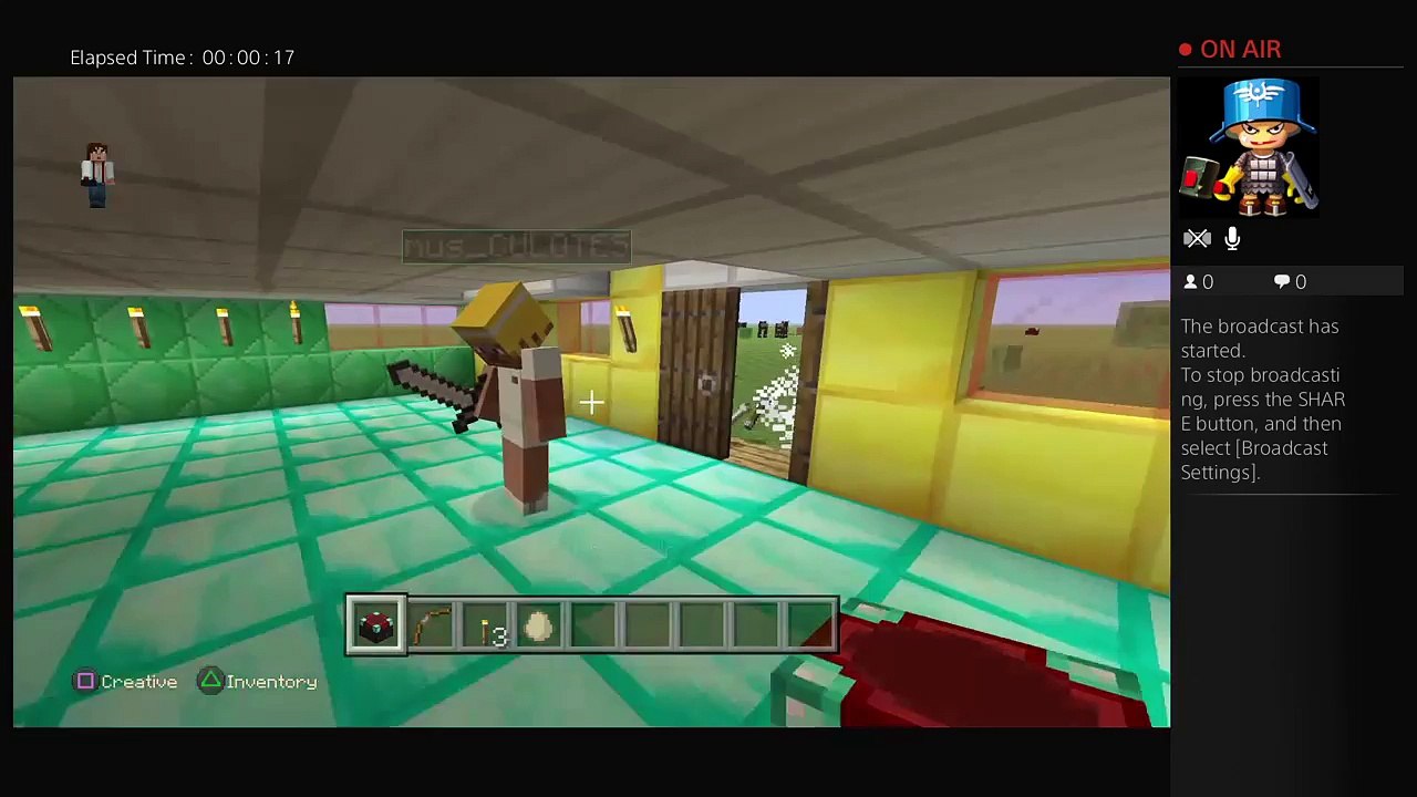 Minecraft (16)