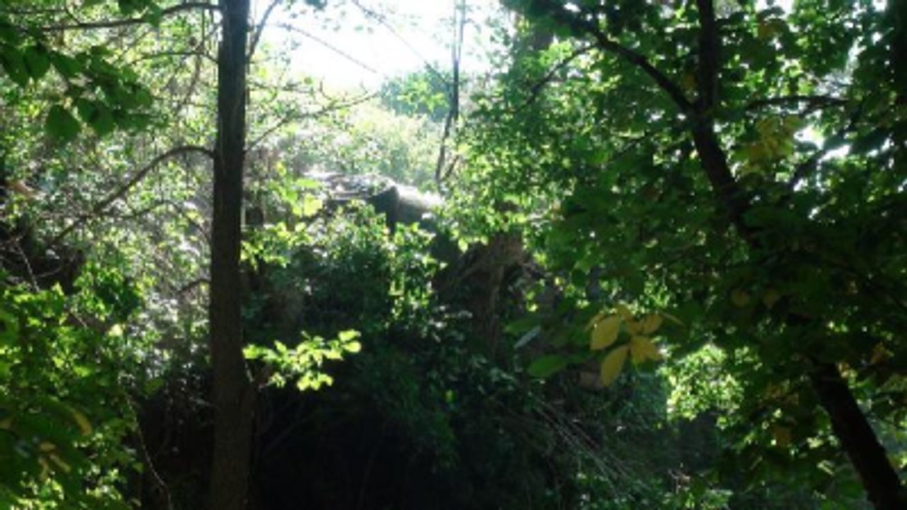 Kaza Yapan Aracı, Hatıra Fotoğraf Çektiren Gelin ve Damat Fark Etti