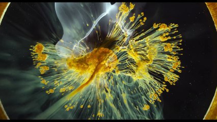 Voyage Of Time: Life's Journey - Teaser [VO]