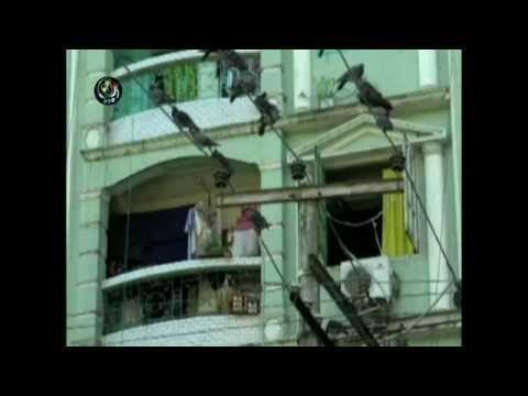 Foreign businessmen go homeless in Rangoon