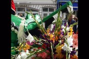 Photos Fête des fleurs de Fort-Mahon 2016
