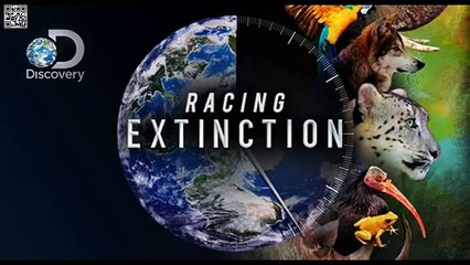 Discovery Racing Extinction finale