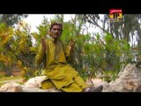 Chor Giyun Maikon Dildar | Ashiq Ali Khan | New Saraiki Song | Saraiki Songs 2015 | Thar Production