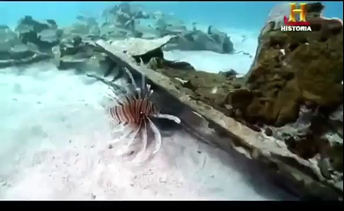 El increíble misterio del Triángulo de las Bermudas // Top Documentales