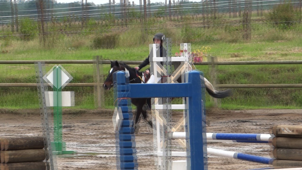 Compétition - Laneuville-à-Rémy - le 12 juin 2016 (Winnie)