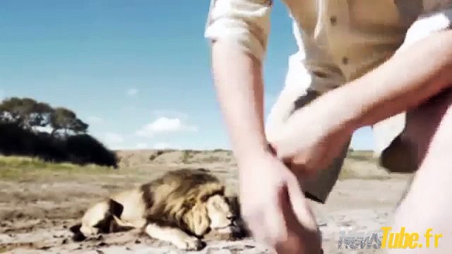 Un couple de chasseurs fait une photo avec un lion mort