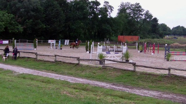 1,15 horse ball 11.06 gold player