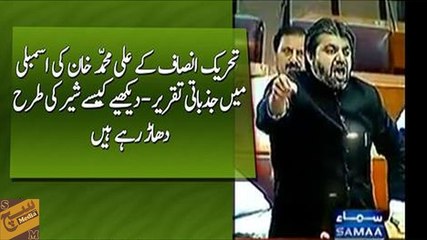 PTI's Ali Mohammad Khan emotional speech in Parliament today
