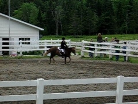 Compétition: Schooling 2 pied - Moi et Canelle la Tulipe