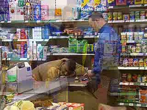 Just For Laughs Gags 2309 Sleeping Cashier