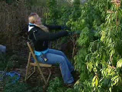 Just For Laughs Gags 2312 Alien Attack