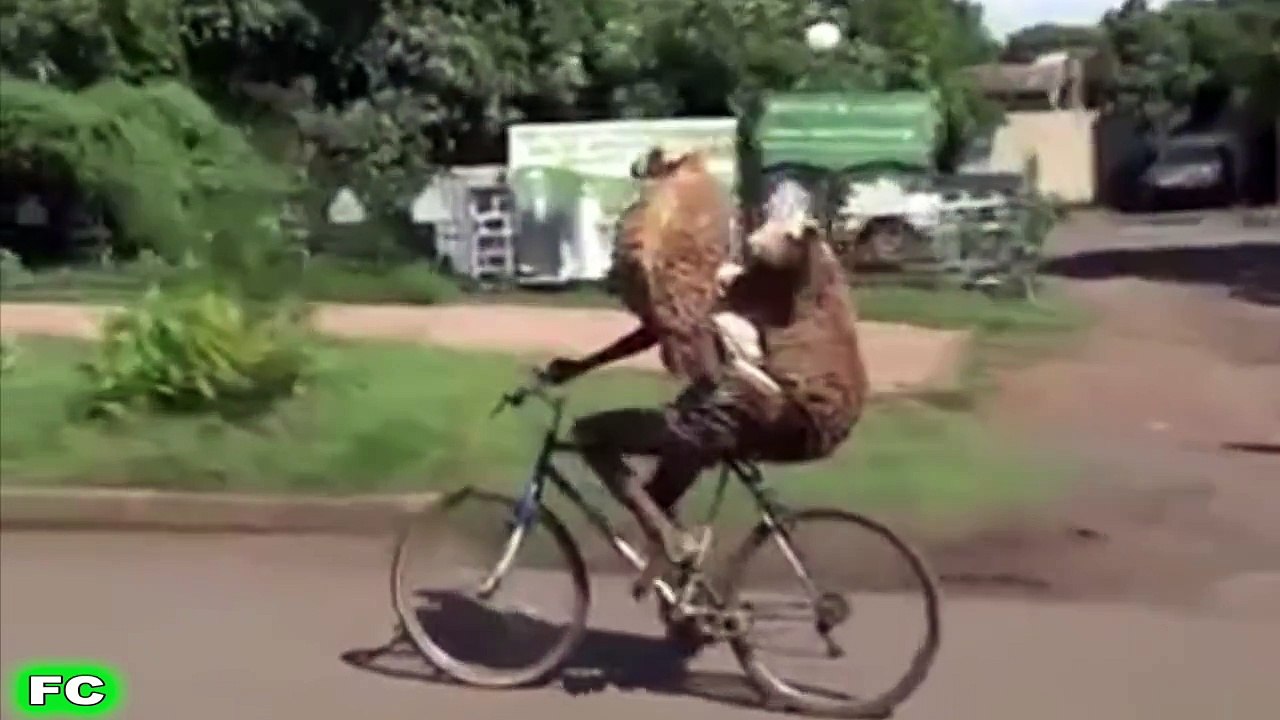 FUNNY Videos & Crazy Clips  JANUARY 2016 Compilation  FailCity