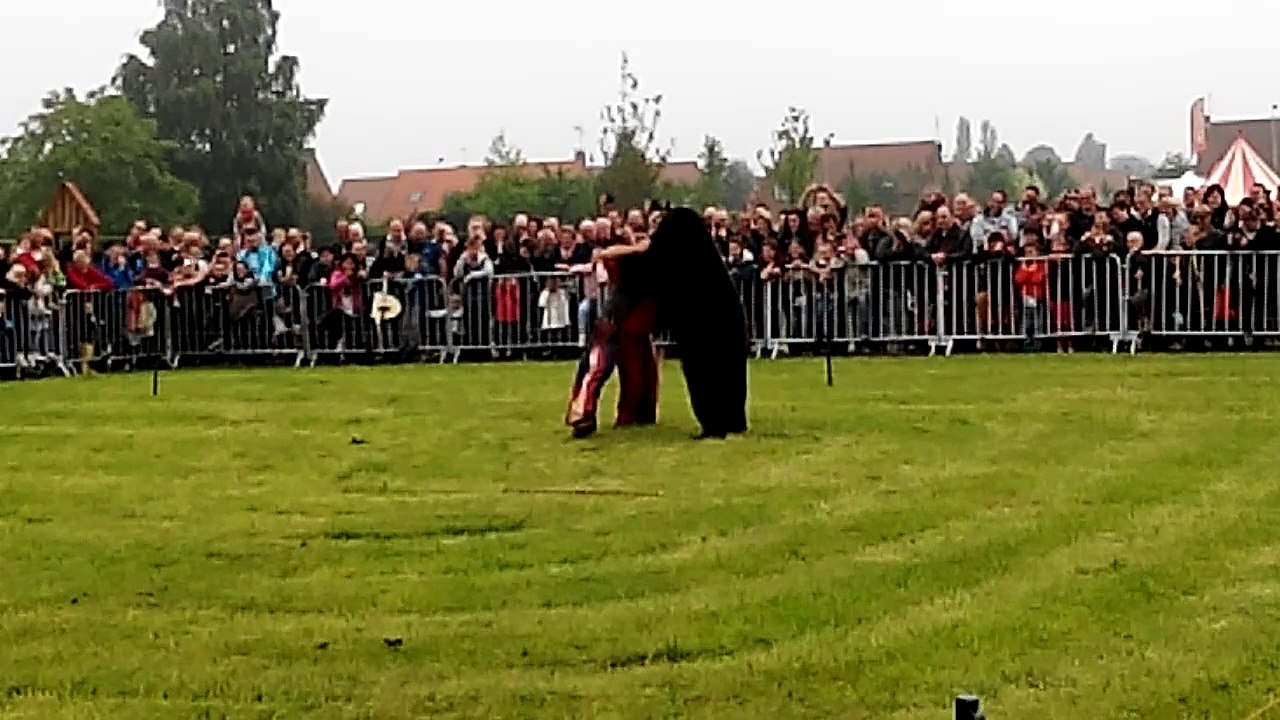 VID_20160605_112154