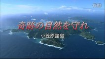 [youku] シリーズ世界遺産100 （NHK BS プレミアム -1） - 2014年08月05日（火） No.0840 [480p]