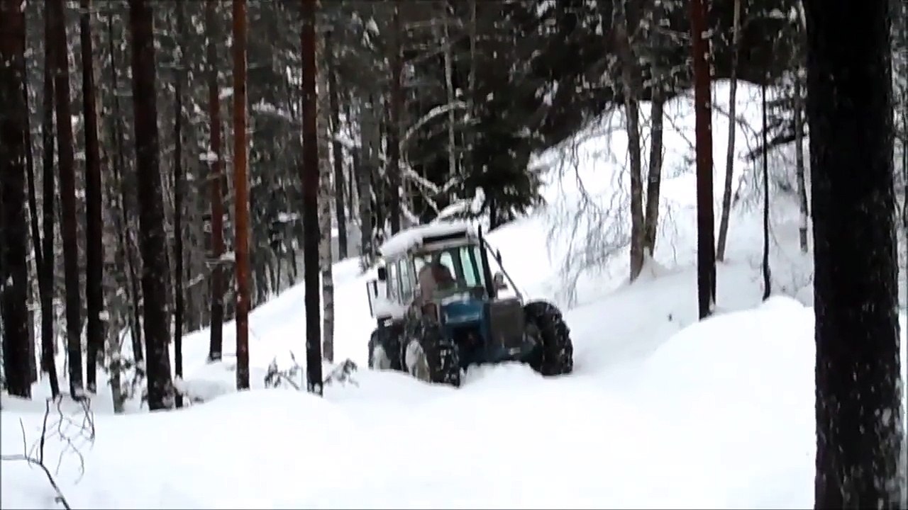 på tur i skogen  2