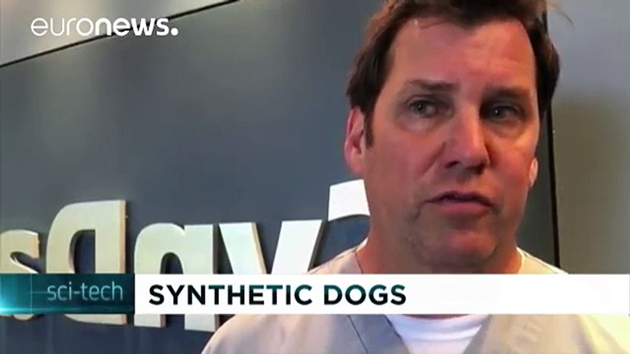 WWW.IZLEVIDEO.NET-Gerçeği aratmayan sentetik köpek kadavrası üretildi - science