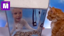 Акваферма выращиваем салат в аквариуме на канале Мистер Макс новое видео 2016