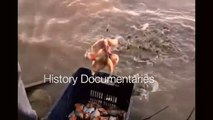Wild Piranha Attacks _Piranha Attacks Video _ Piranha Fish Attack Human_ Exclusive_HD