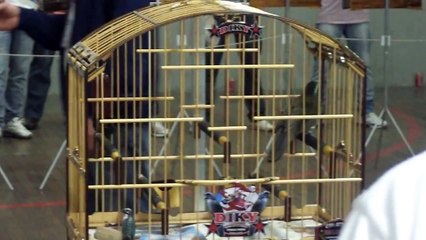 TORNEIO ACPSI TRINCA FERO DIKY - 24 08 2014