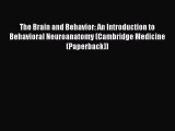 READ book  The Brain and Behavior: An Introduction to Behavioral Neuroanatomy (Cambridge Medicine