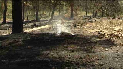 Estabilizado el incendio de Sierra del Molino (Murcia)